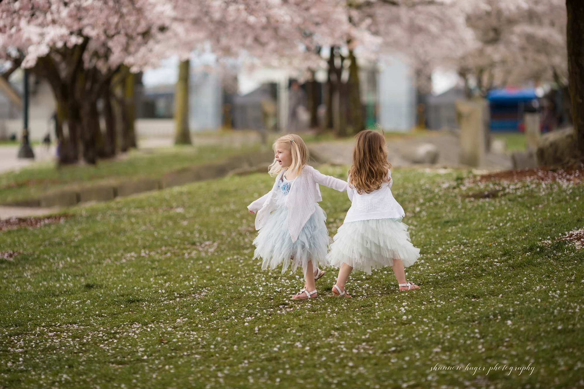 cherry blossom portland family photographer, tea party child photographer