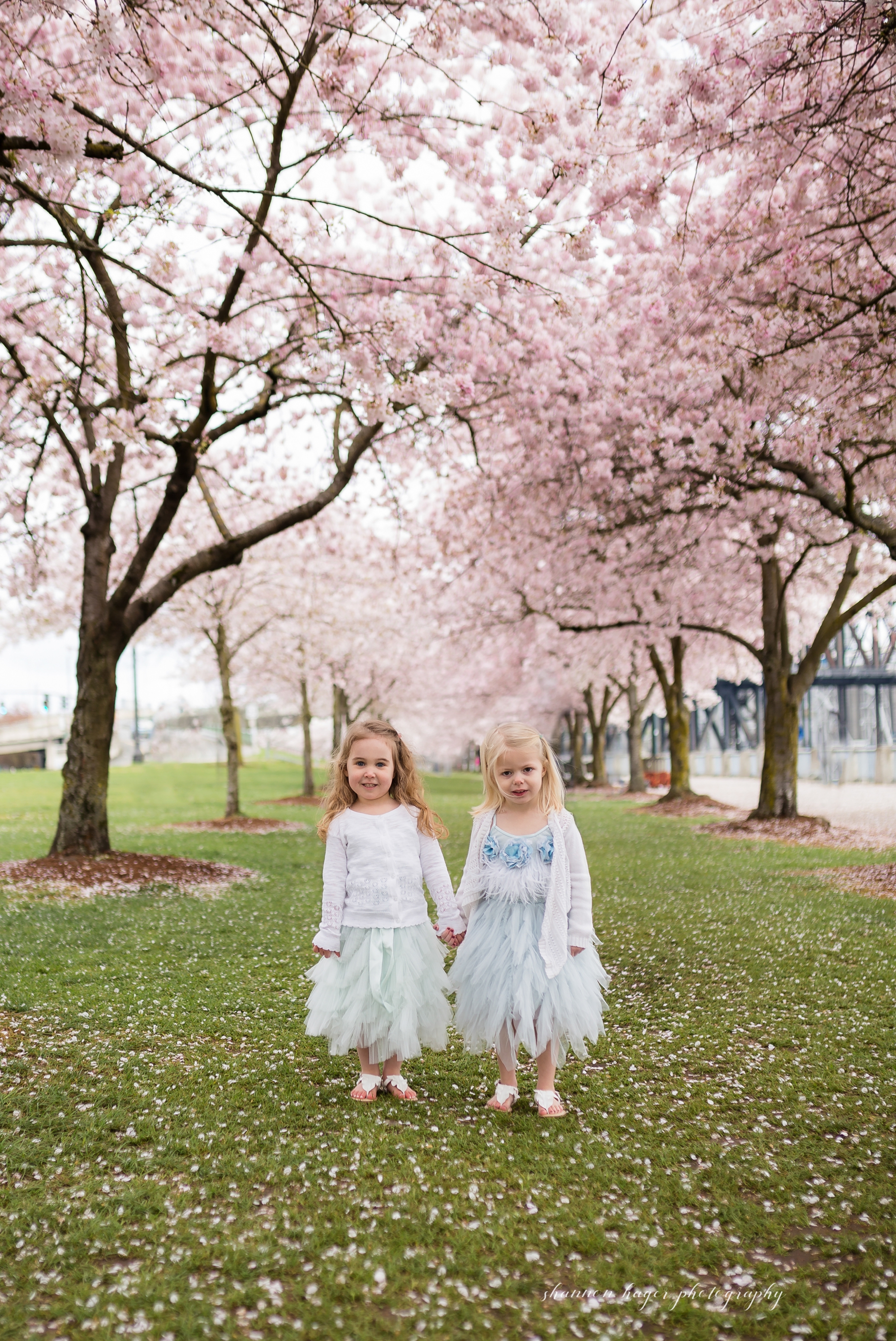 cherry blossom portland family photographer, tea party child photographer