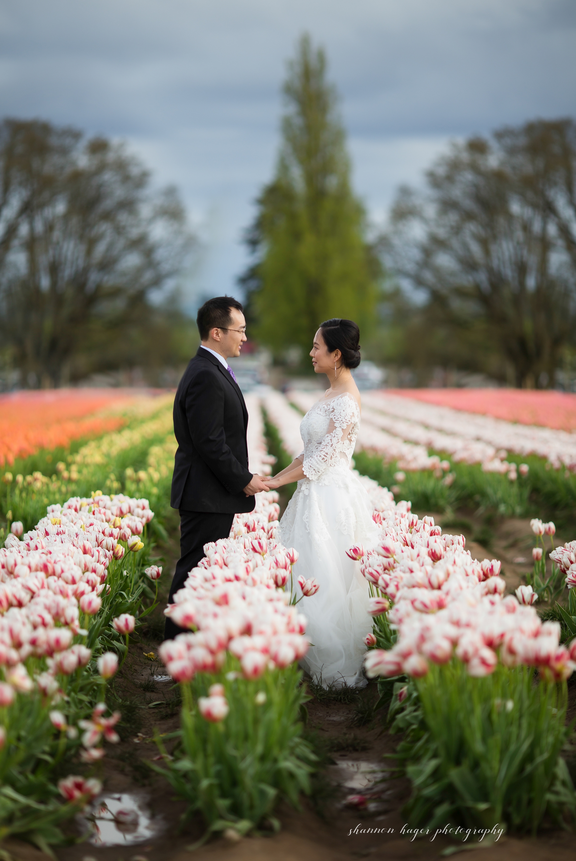 oregon tulip wedding photos, wooden shoe tulip festival photography session, portland wedding photographer, spring mini sessions