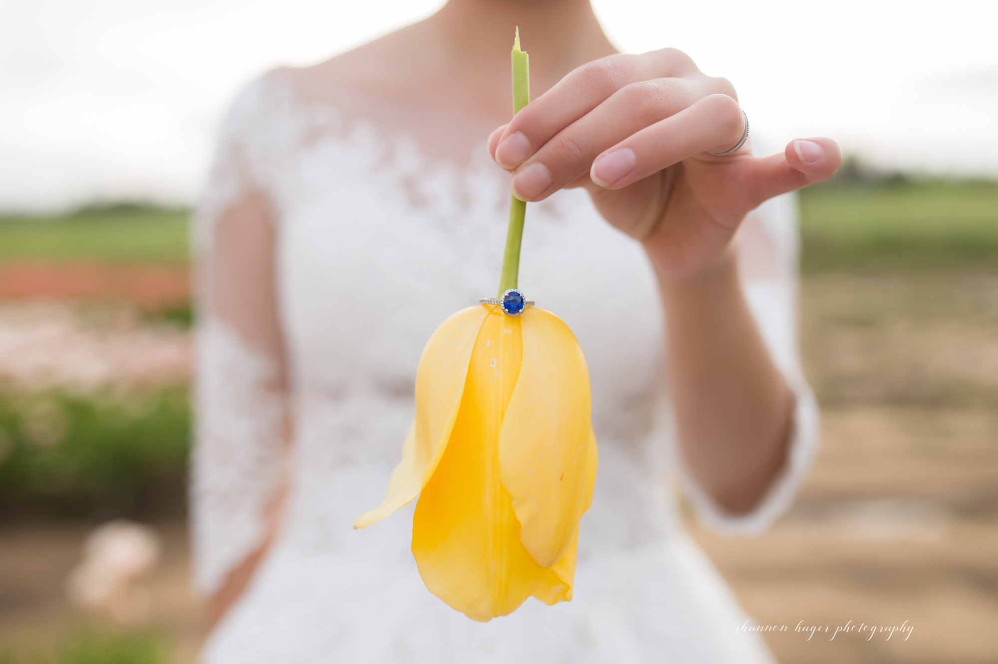 oregon tulip wedding photos, wooden shoe tulip festival photography session, portland wedding photographer, spring mini sessions