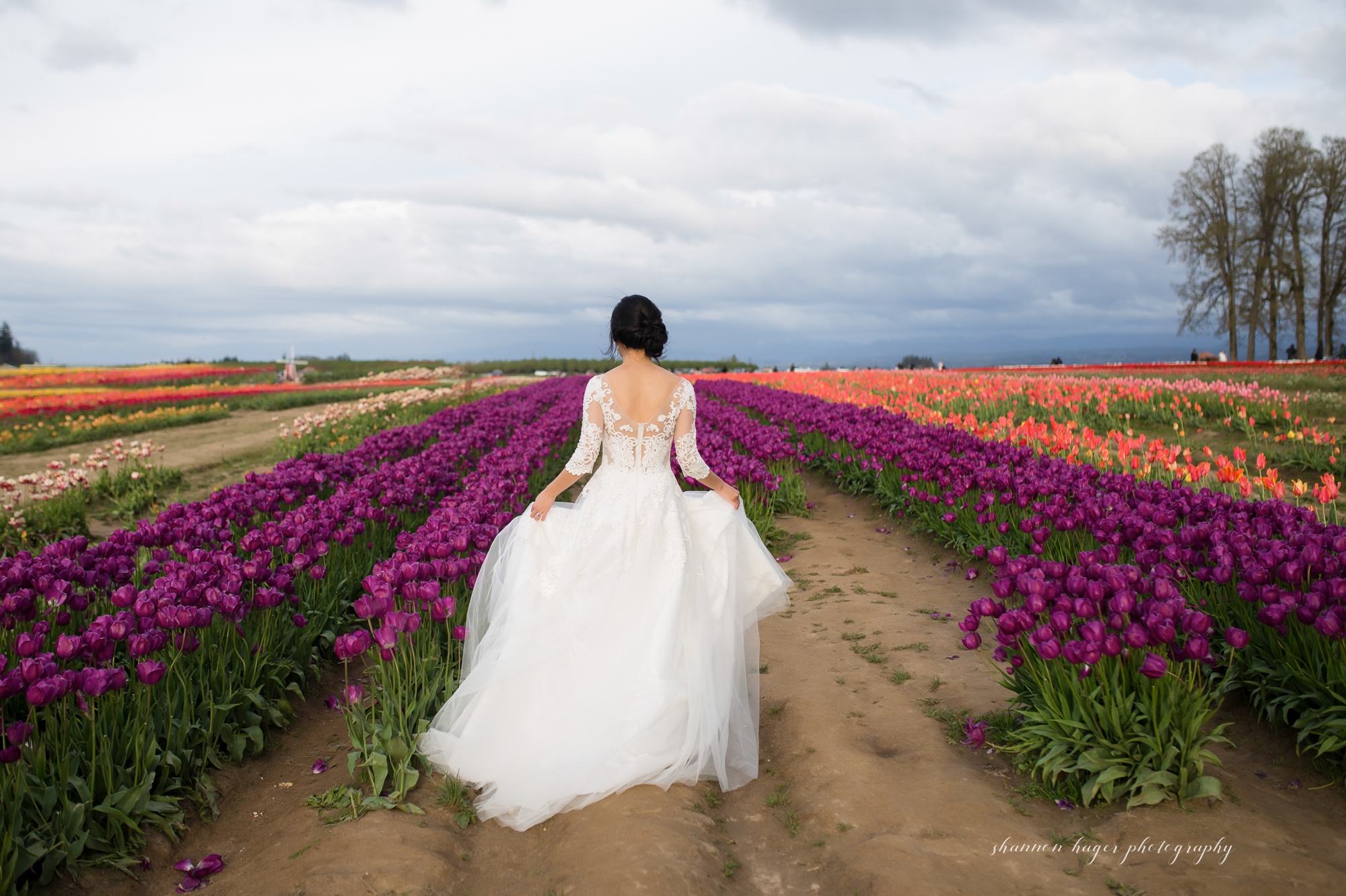 oregon tulip wedding photos, wooden shoe tulip festival photography session, portland wedding photographer, spring mini sessions