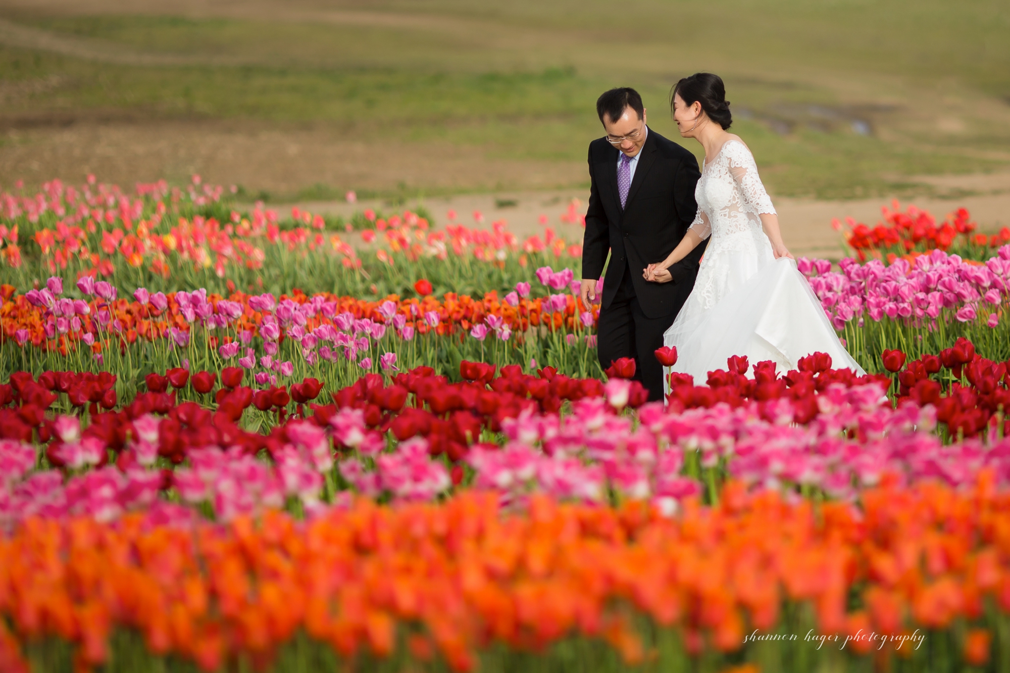 oregon tulip wedding photos, wooden shoe tulip festival photography session, portland wedding photographer, spring mini sessions