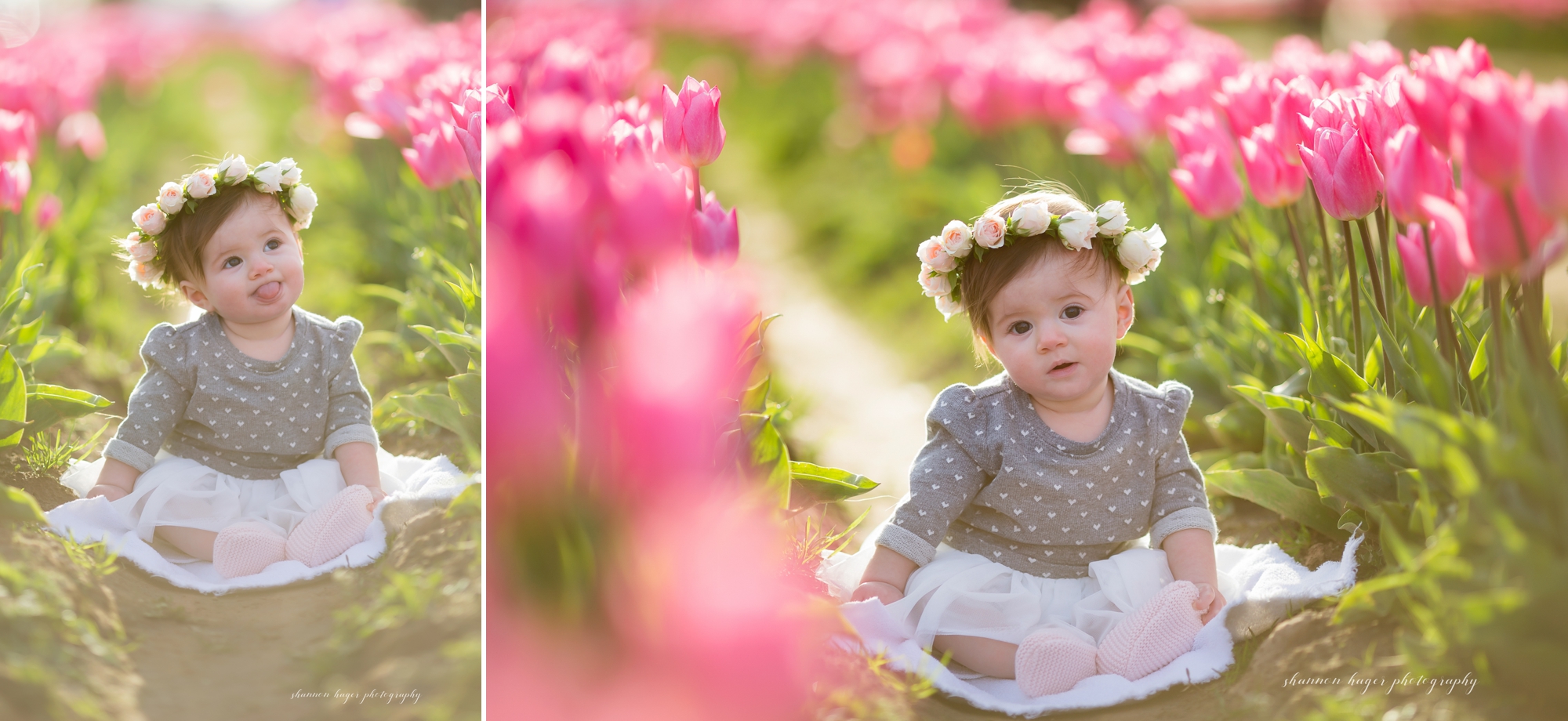 tulip photo session, portland family photographer, spring tulip field mini sessions, portland baby photography