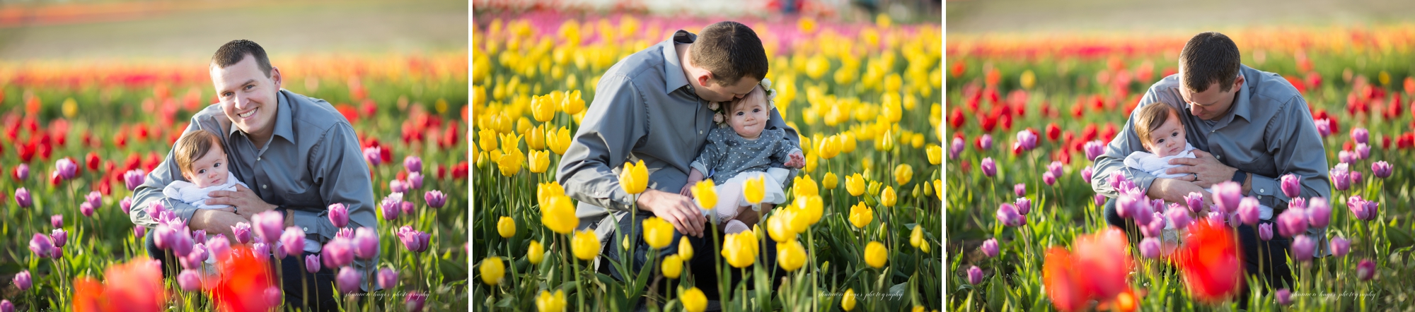 tulip photo session, portland family photographer, spring tulip field mini sessions, portland baby photography