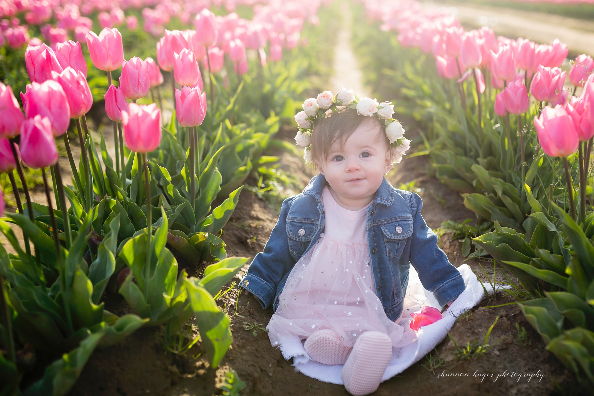 tulip photo session, portland family photographer, spring tulip field mini sessions, portland baby photography