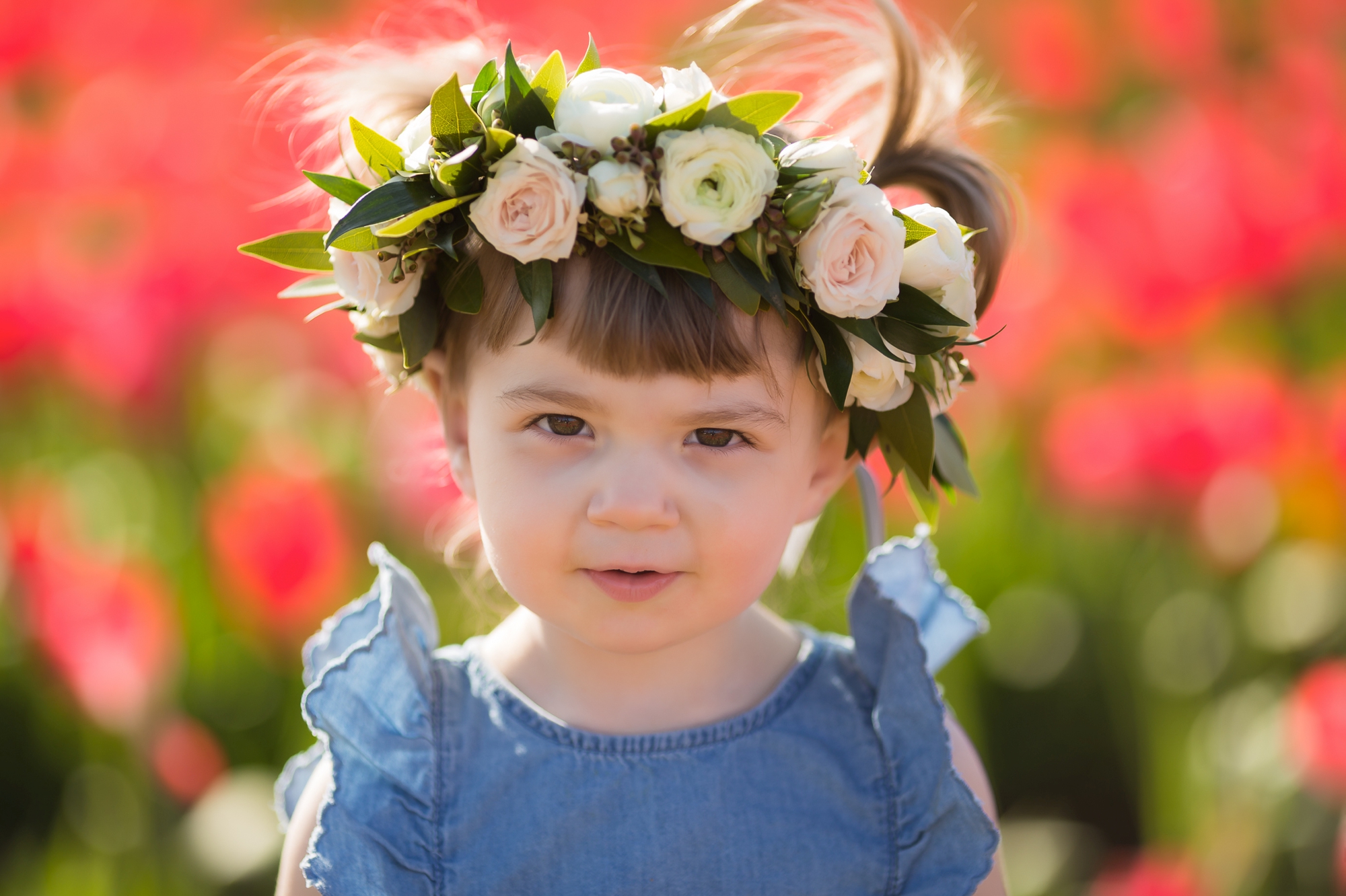 tulip field mini sessions, wooden shoe tulip festival photos, portland family photographer