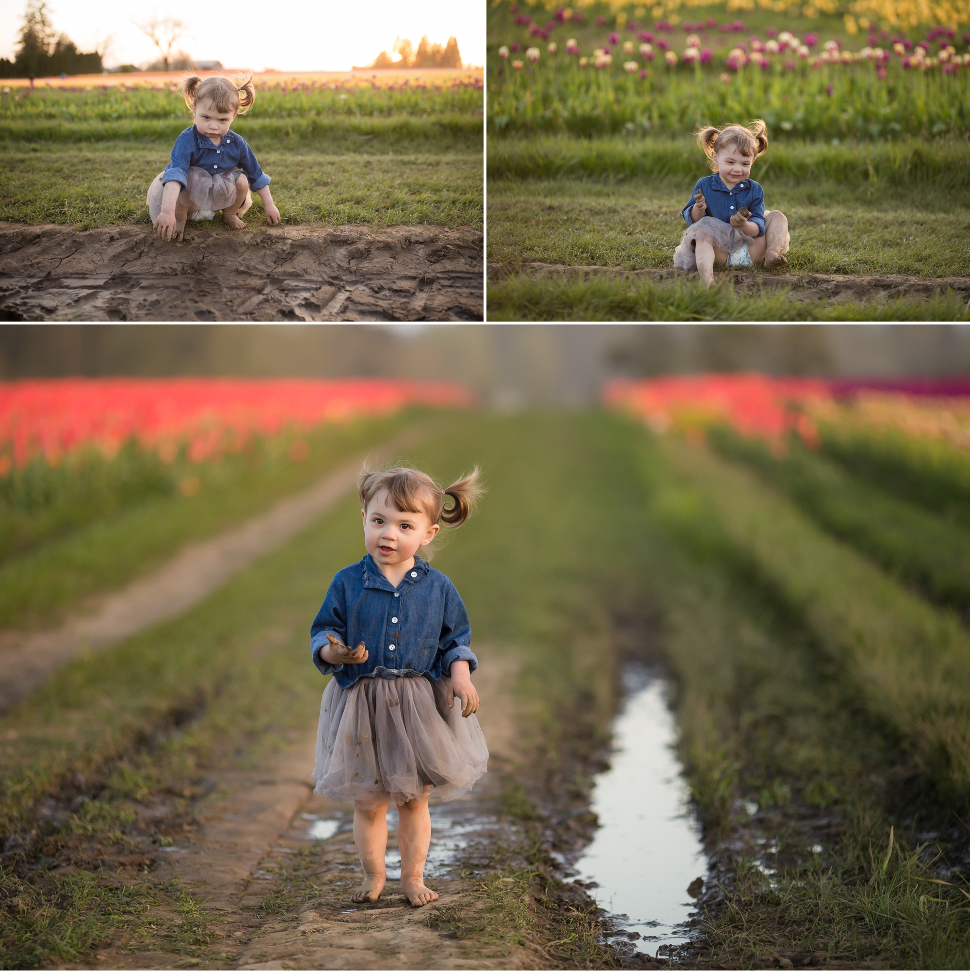 tulip field mini sessions, wooden shoe tulip festival photos, portland family photographer