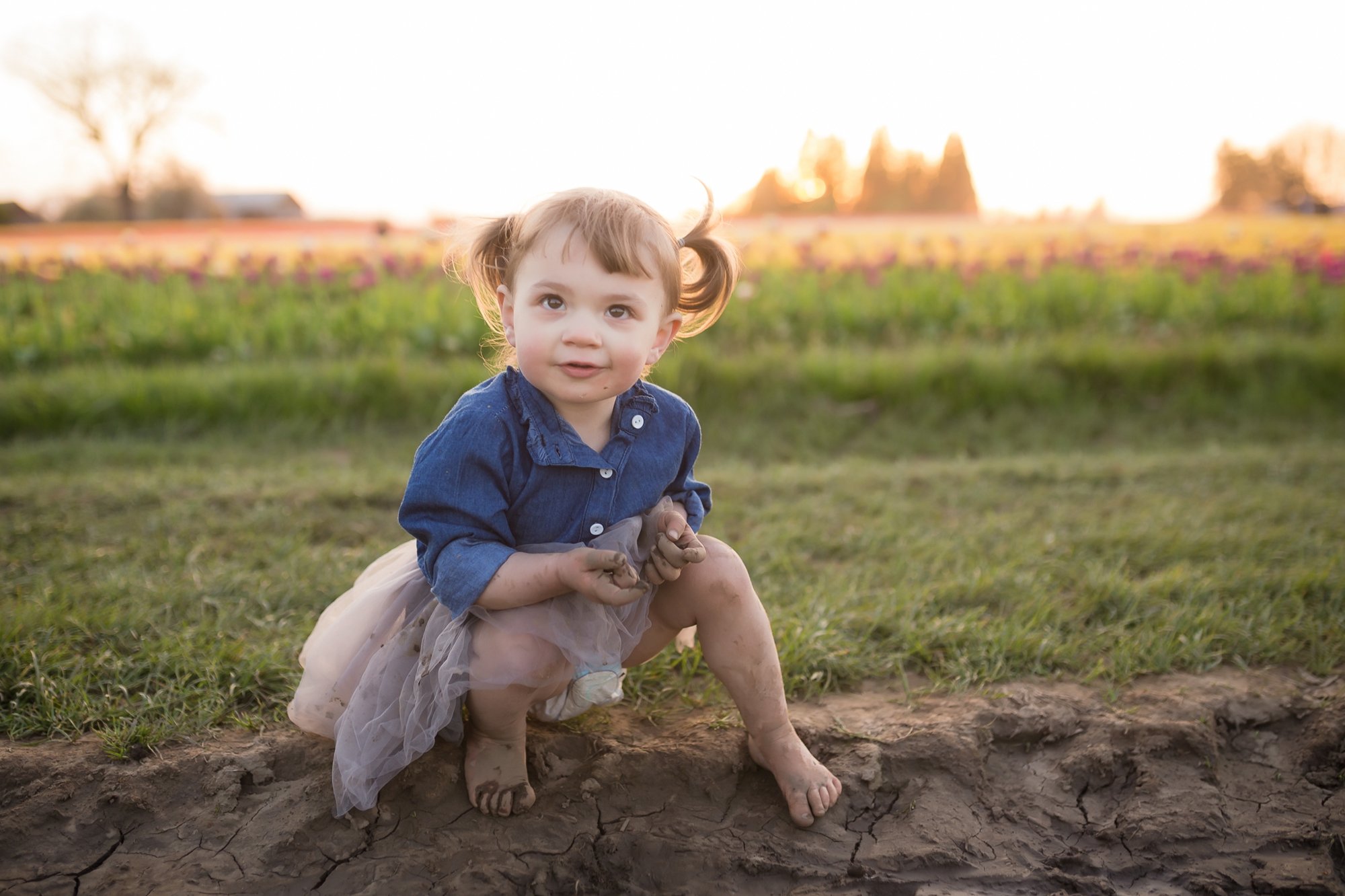 tulip field mini sessions, wooden shoe tulip festival photos, portland family photographer