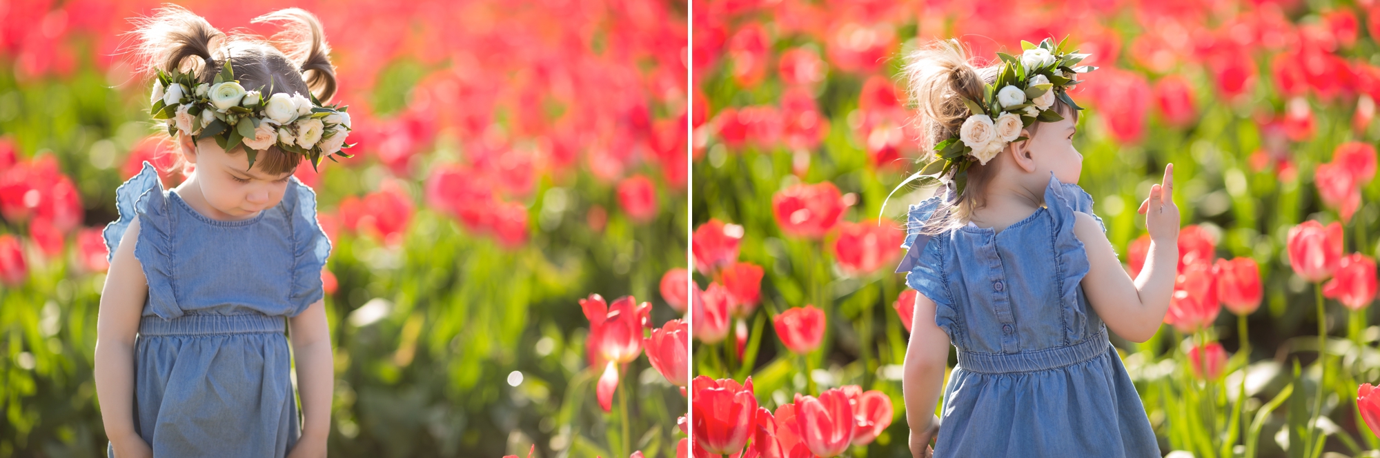 tulip field mini sessions, wooden shoe tulip festival photos, portland family photographer