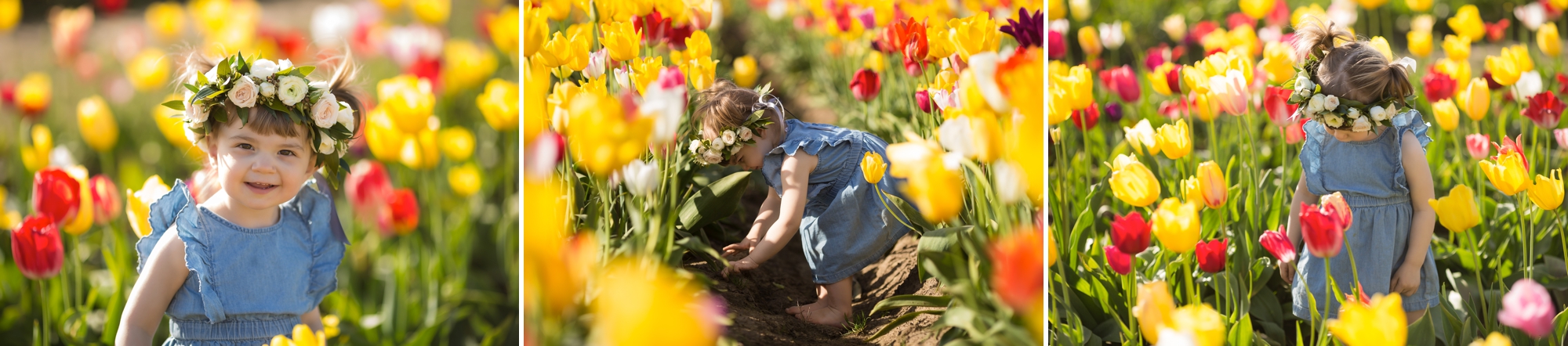 tulip field mini sessions, wooden shoe tulip festival photos, portland family photographer