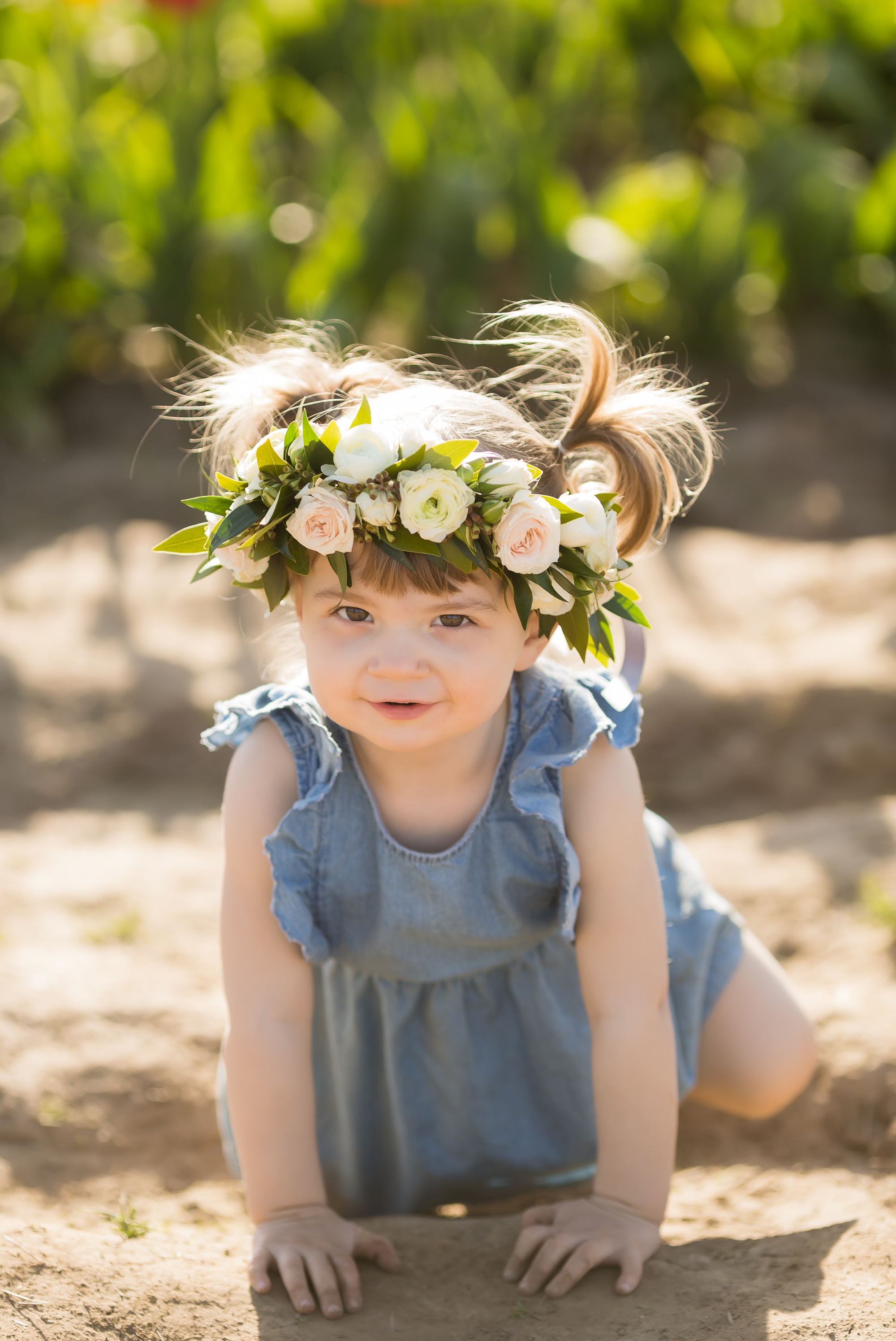 tulip field mini sessions, wooden shoe tulip festival photos, portland family photographer