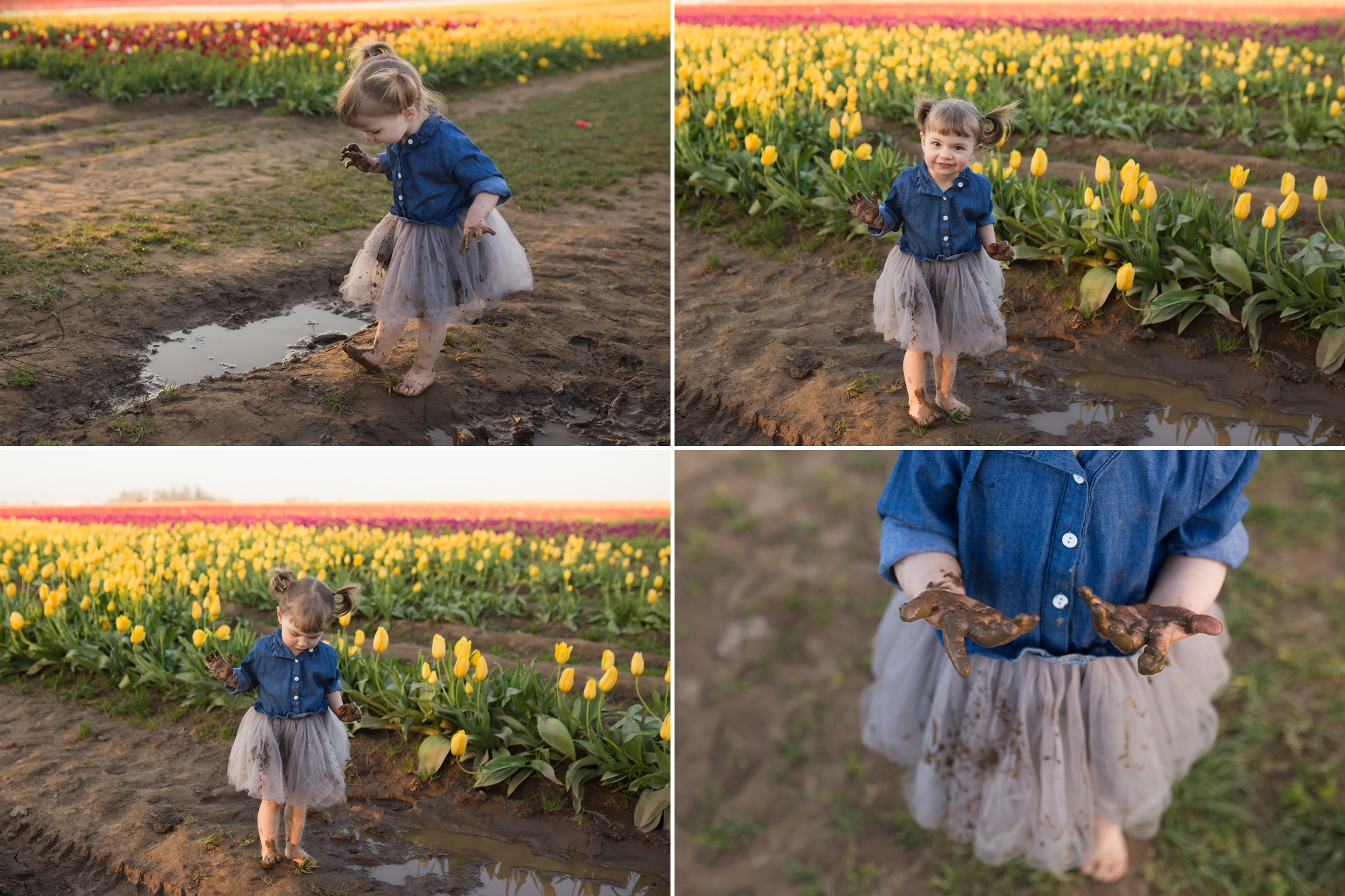 tulip field mini sessions, wooden shoe tulip festival photos, portland family photographer