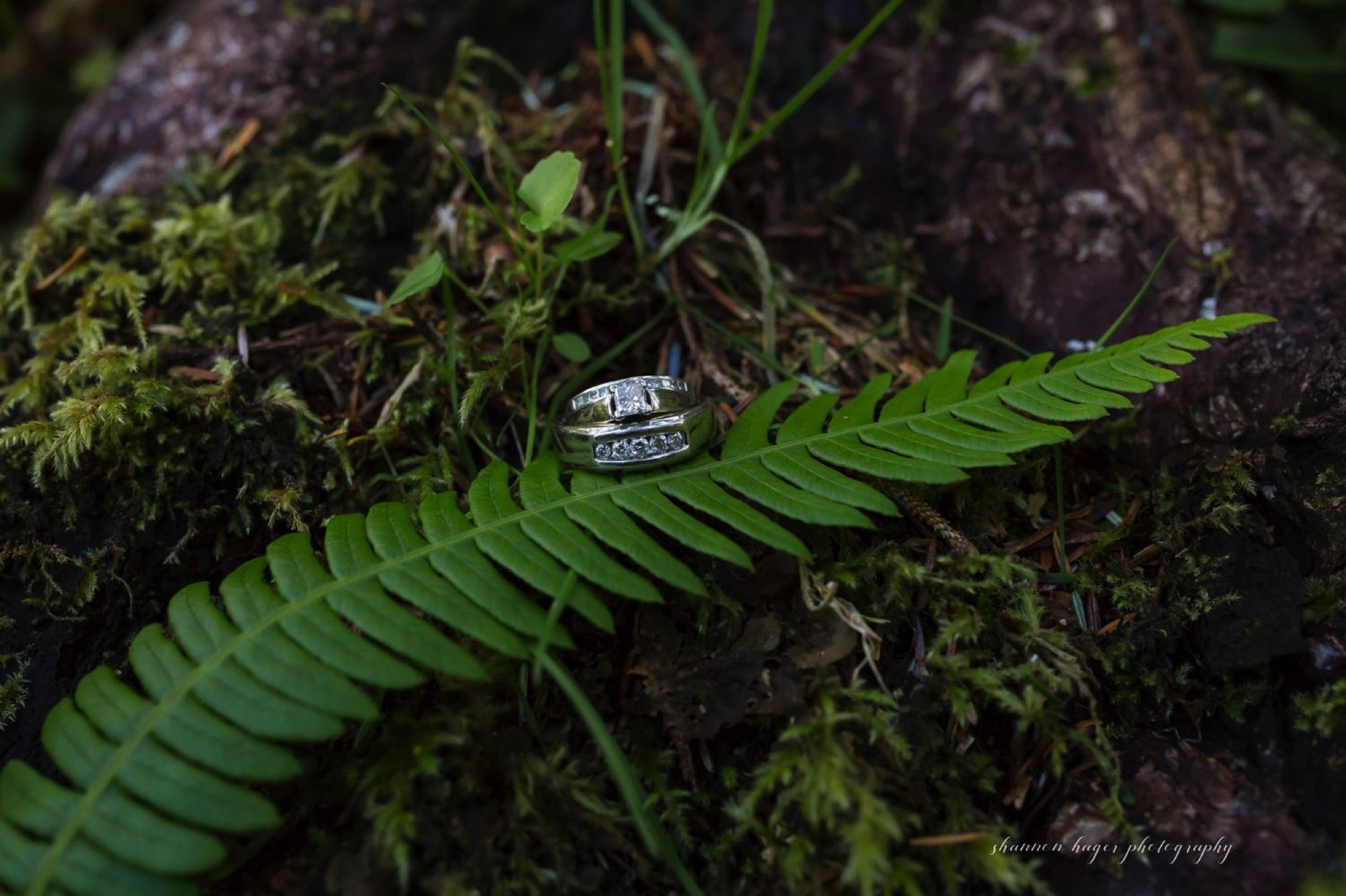 oregon coast anniversary session, oregon coast photographer, oregon coast wedding photographer, oregon coast elopement photography by Shannon Hager