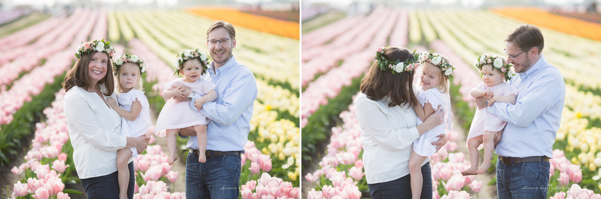 tulip field family photographer, wooden shoe tulip photo sessions, spring mini session portland, shannon hager photography