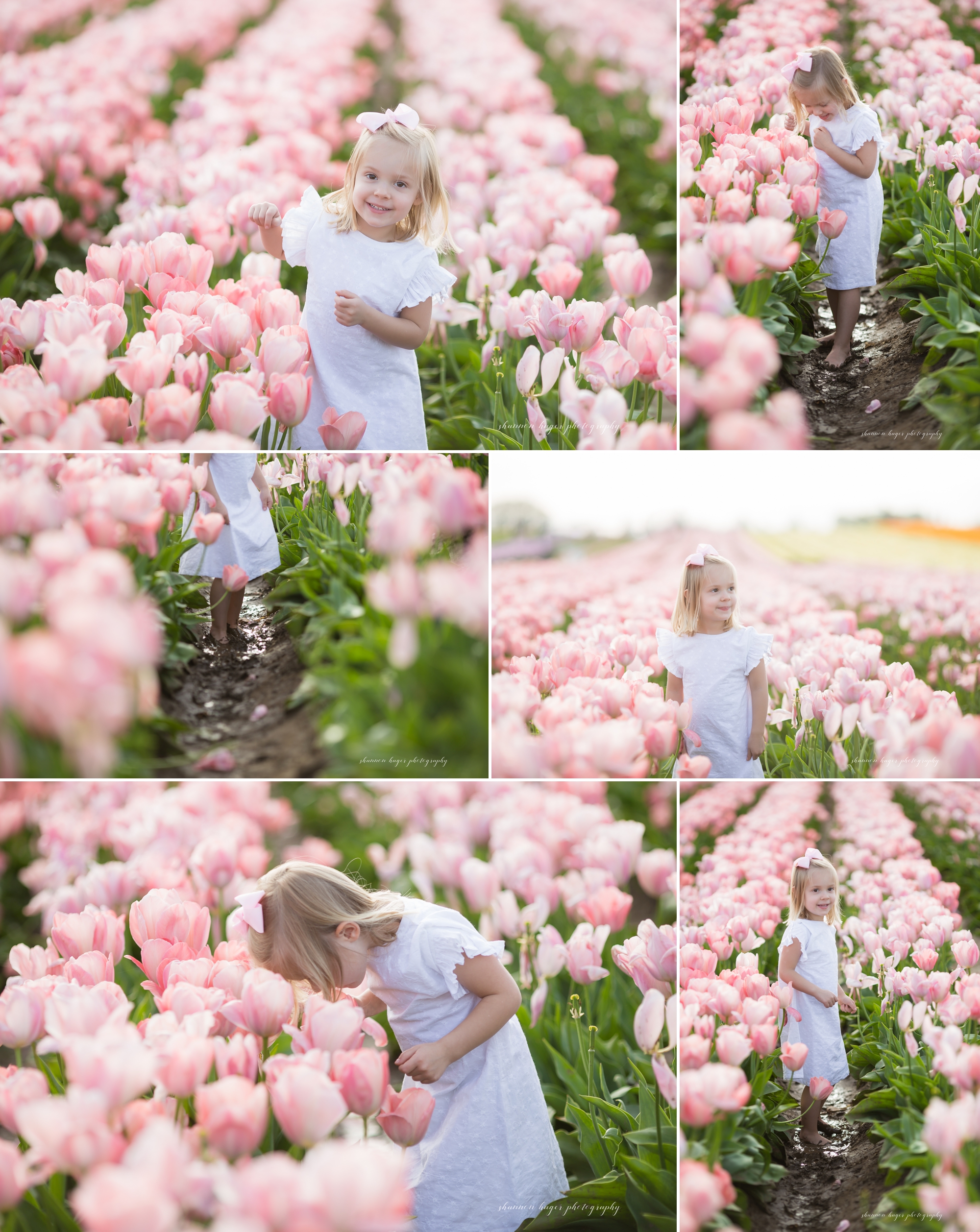 tulip field family photographer, wooden shoe tulip photo sessions, spring mini session portland, shannon hager photography