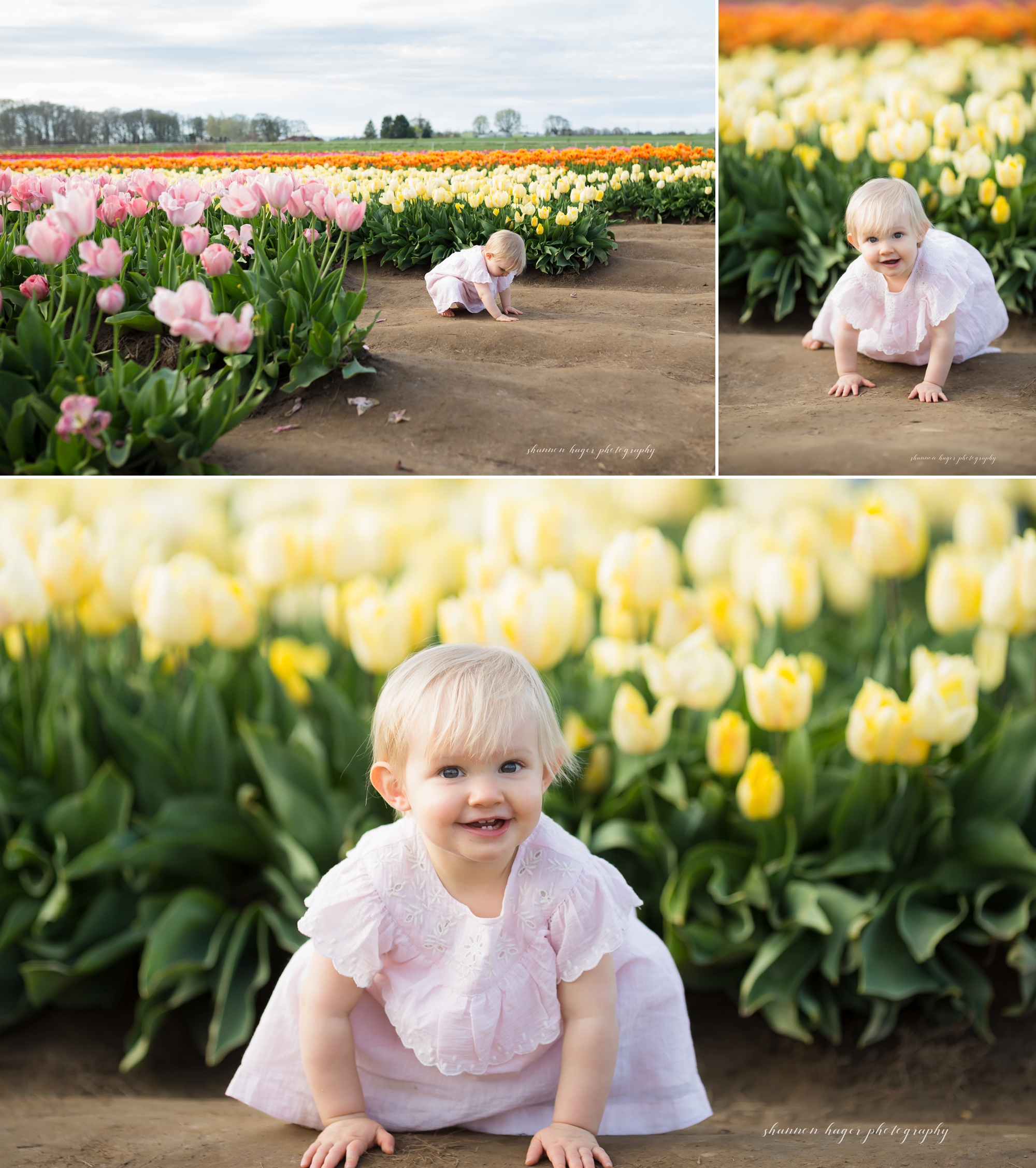 tulip field family photographer, wooden shoe tulip photo sessions, spring mini session portland, shannon hager photography