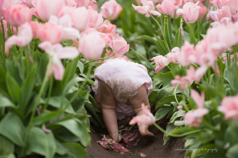 tulip field family photographer, wooden shoe tulip photo sessions, spring mini session portland, shannon hager photography