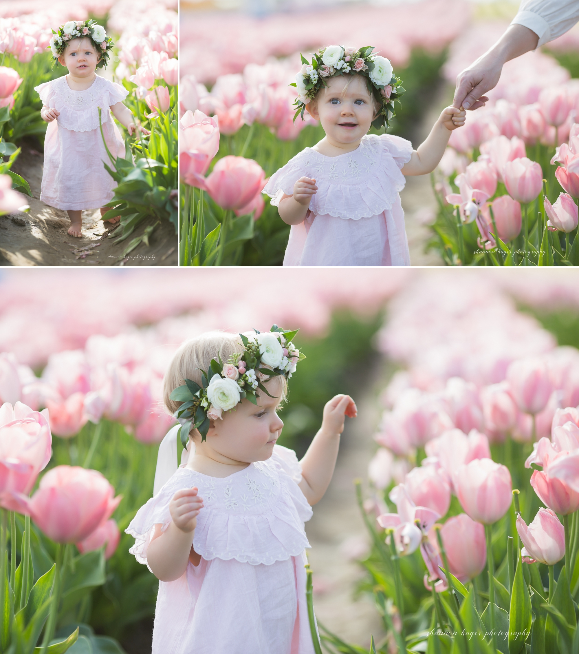 tulip field family photographer, wooden shoe tulip photo sessions, spring mini session portland, shannon hager photography