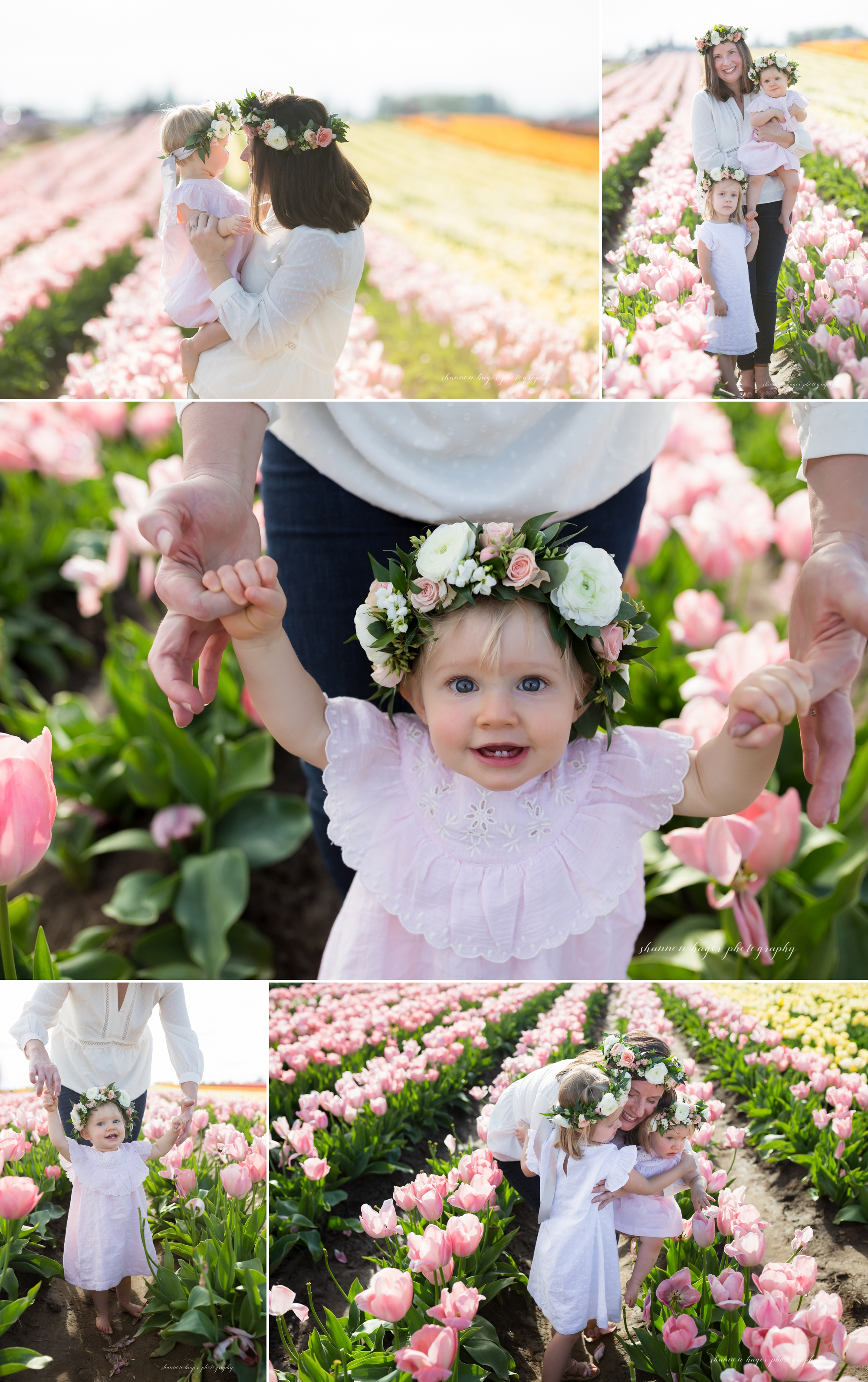 tulip field family photographer, wooden shoe tulip photo sessions, spring mini session portland, shannon hager photography