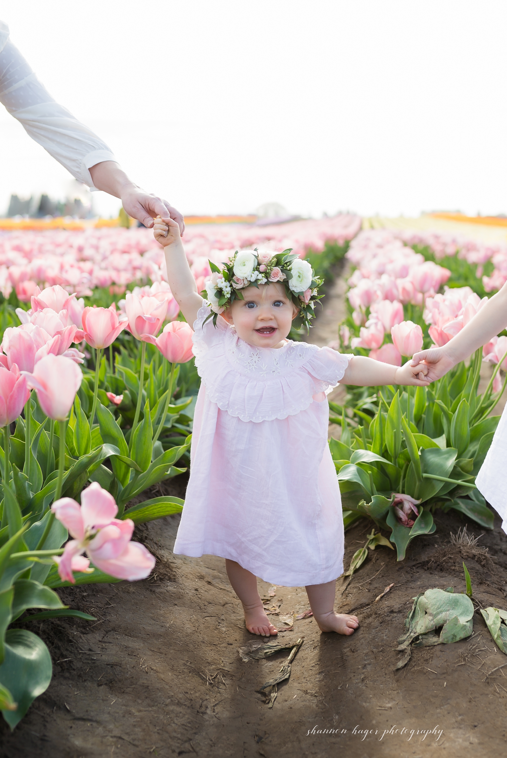 tulip field family photographer, wooden shoe tulip photo sessions, spring mini session portland, shannon hager photography