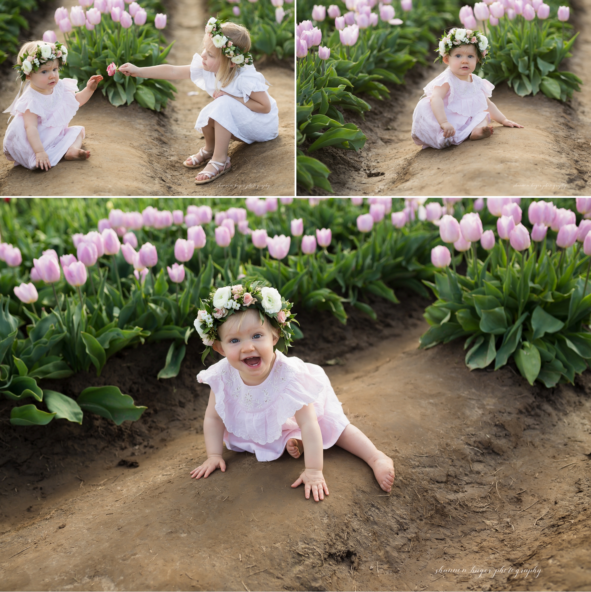 tulip field family photographer, wooden shoe tulip photo sessions, spring mini session portland, shannon hager photography