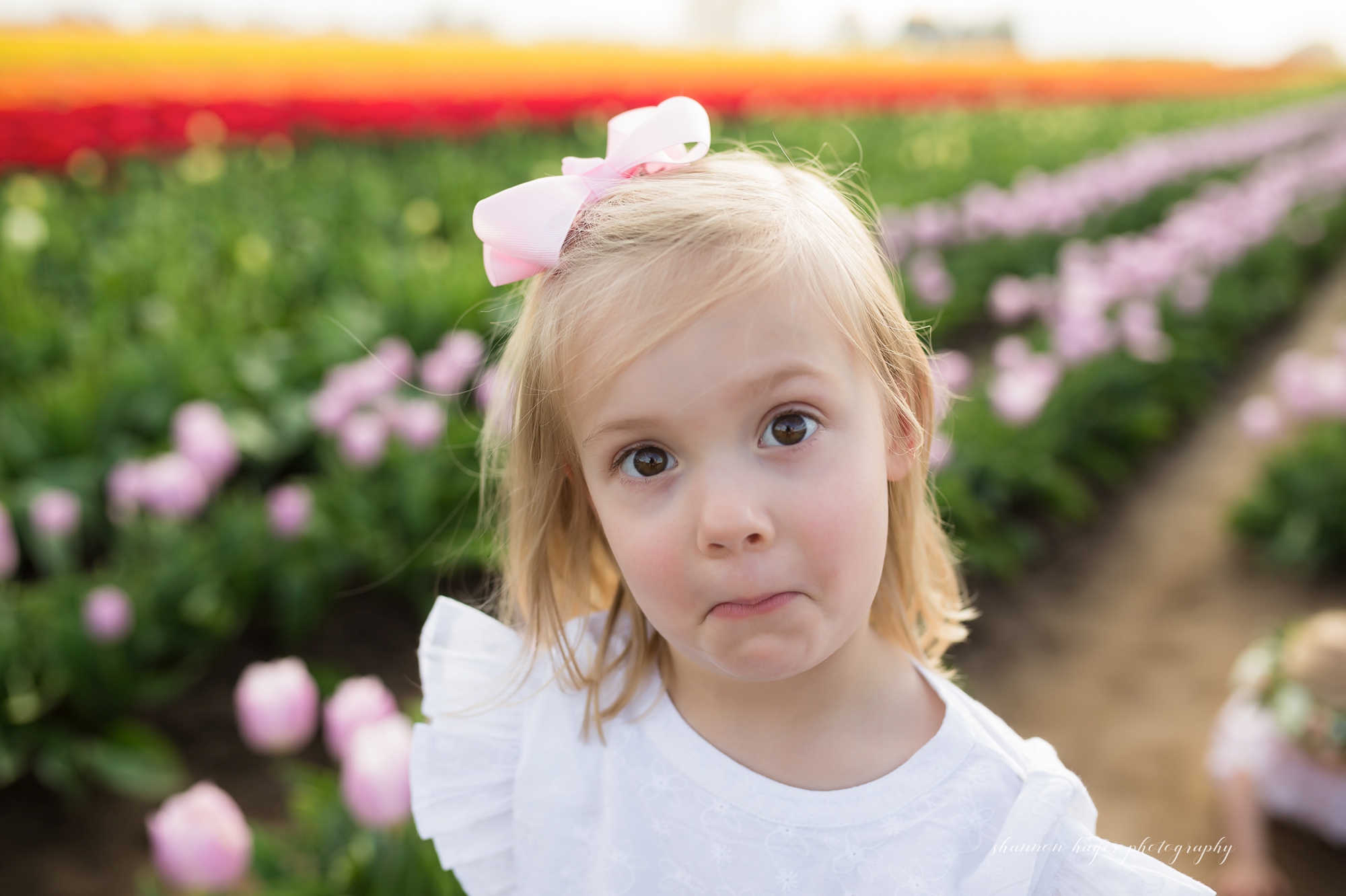 tulip field family photographer, wooden shoe tulip photo sessions, spring mini session portland, shannon hager photography