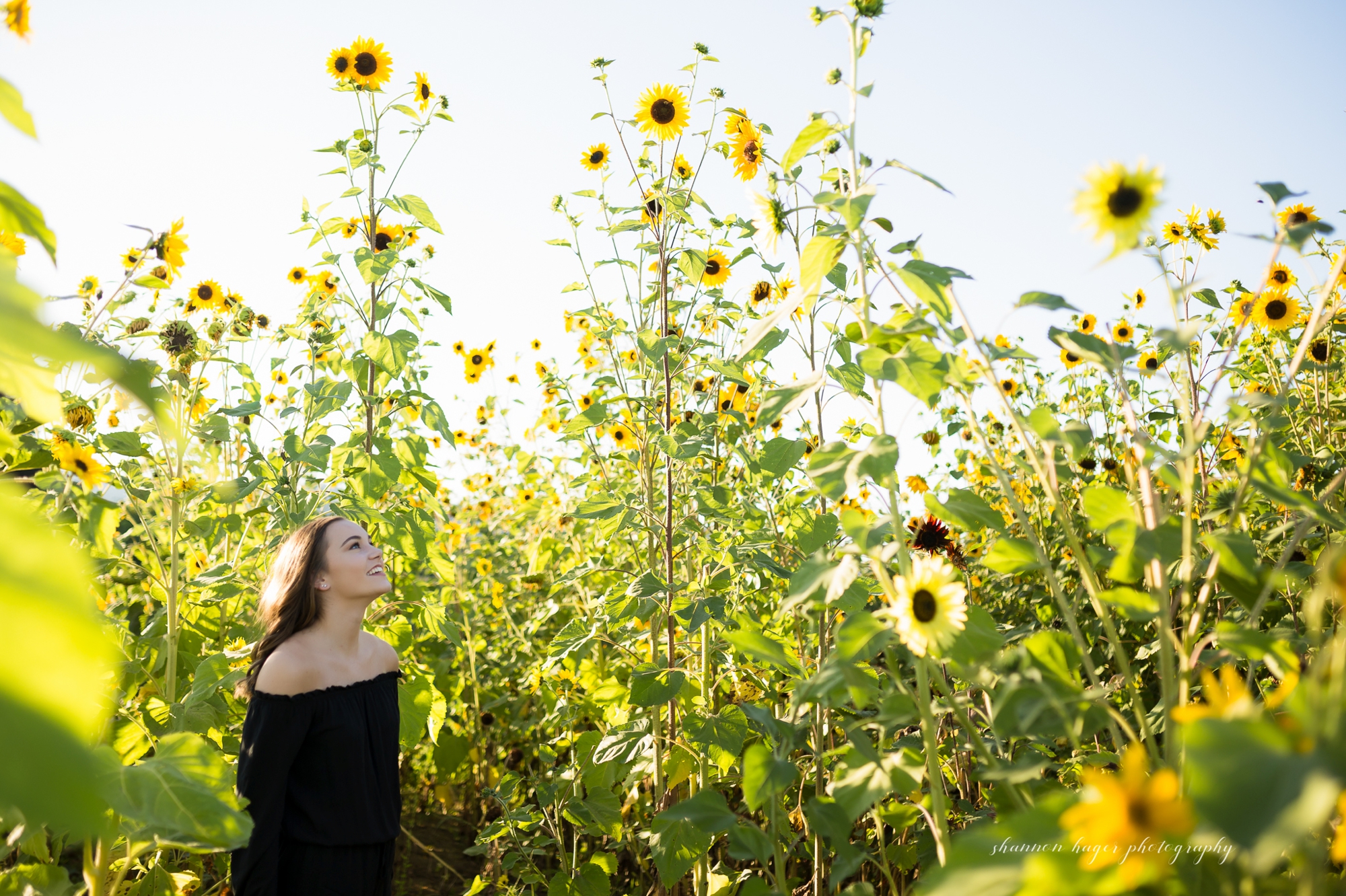 sherwood senior photographer, portland senior photography, sauvie island senior session, summer senior portraits portland