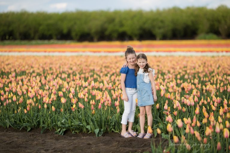 spring photos portland, wooden shoe tulip farm, tulip field photo session, portland family photography