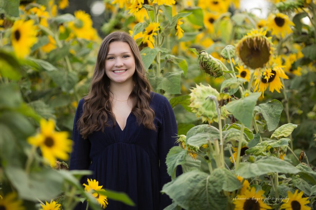 sherwood senior session in the sunflowers, sherwood oregon senior photos