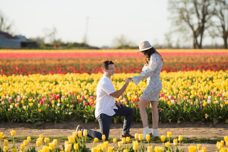 Tulip Wedding Proposal at Wooden Shoe Tulip Farm in Oregon