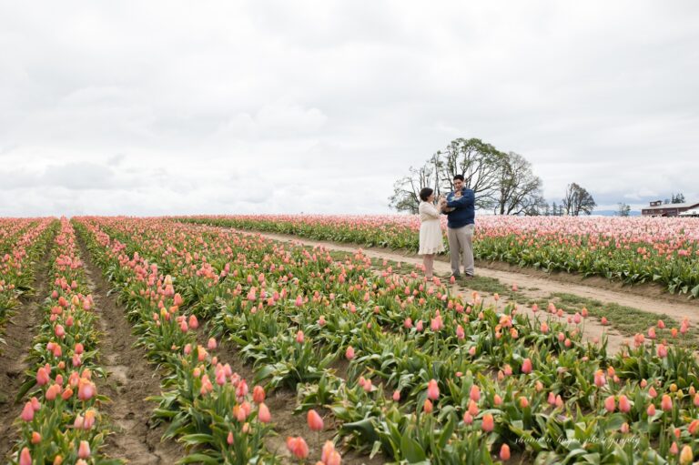 Wooden Shoe Tulip Family Photos | The B Family