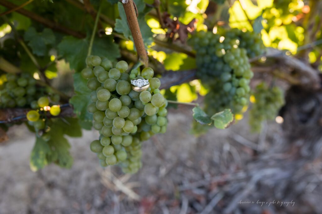 wedding ring on grape vines