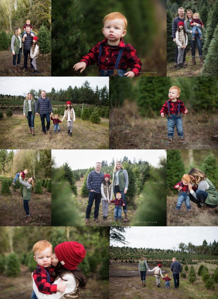 family photos at a Christmas tree farm